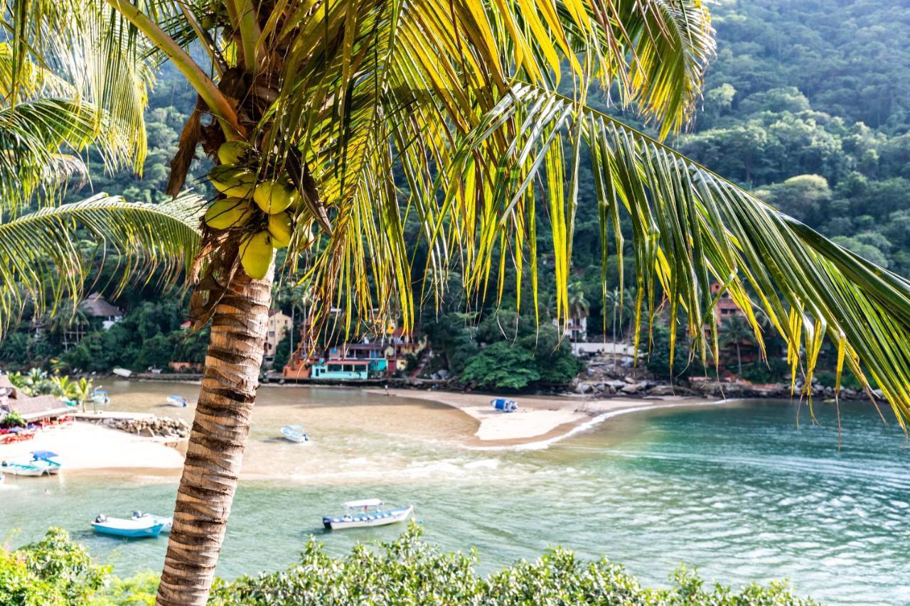 Villa Armonia Luxury Boutique Hotel Puerto Vallarta Luaran gambar